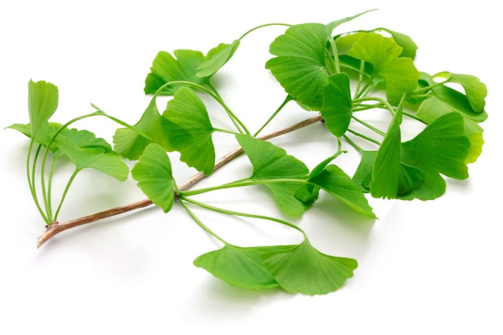 ginkgo biloba kapsulās Insuvit